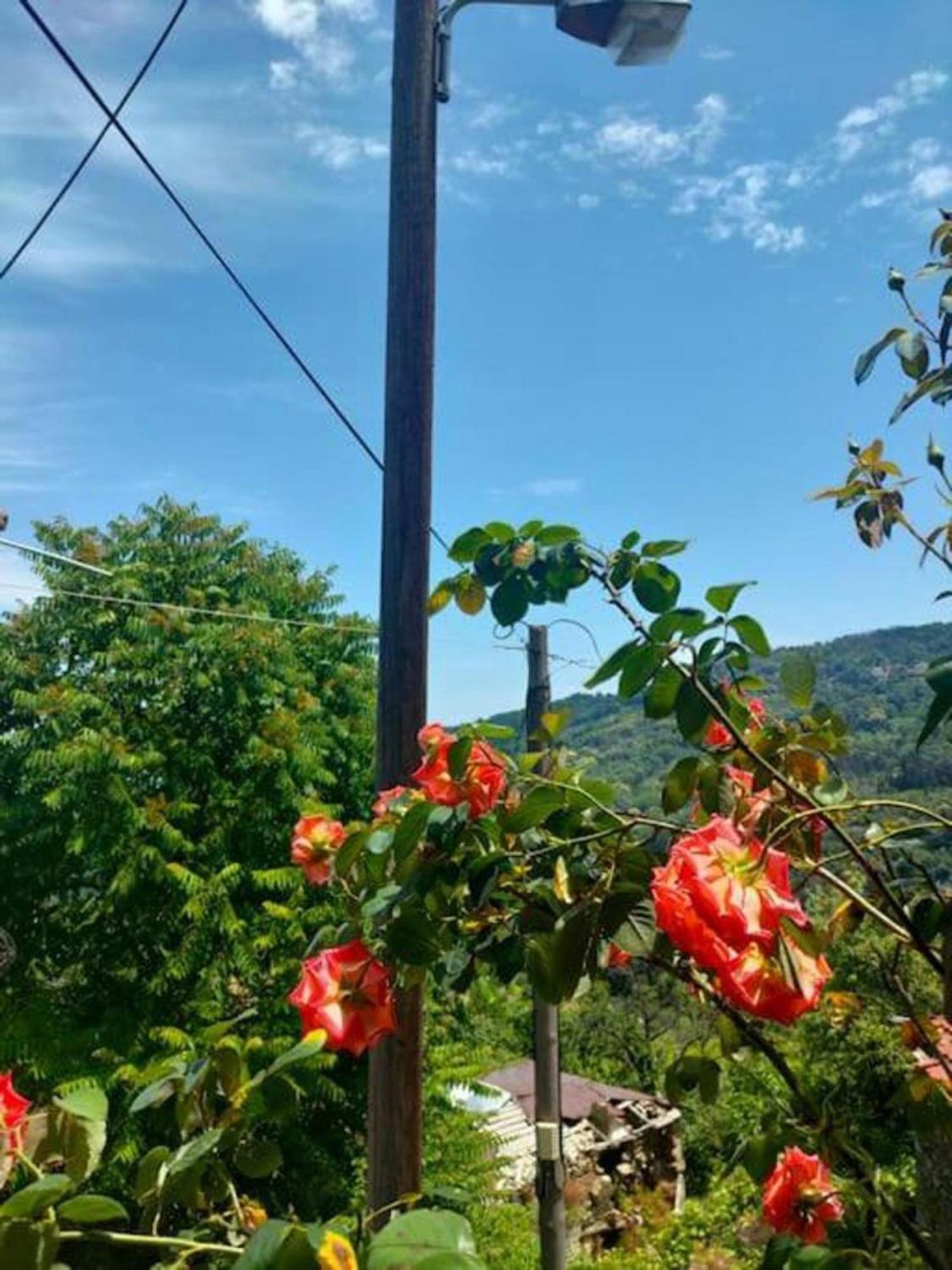 Makrirrákhi Hara'S House Pelion 아파트 외부 사진