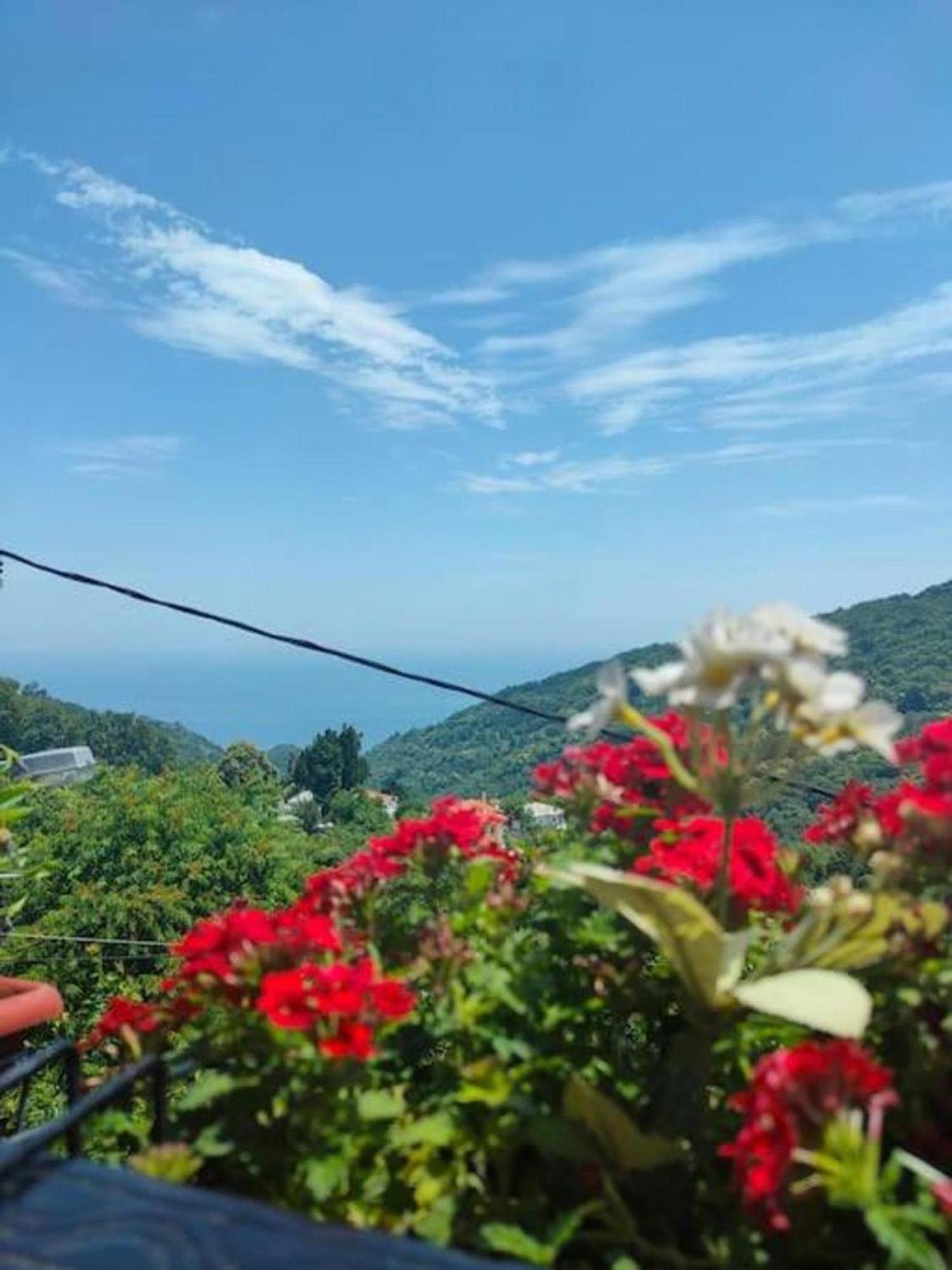 Makrirrákhi Hara'S House Pelion 아파트 외부 사진