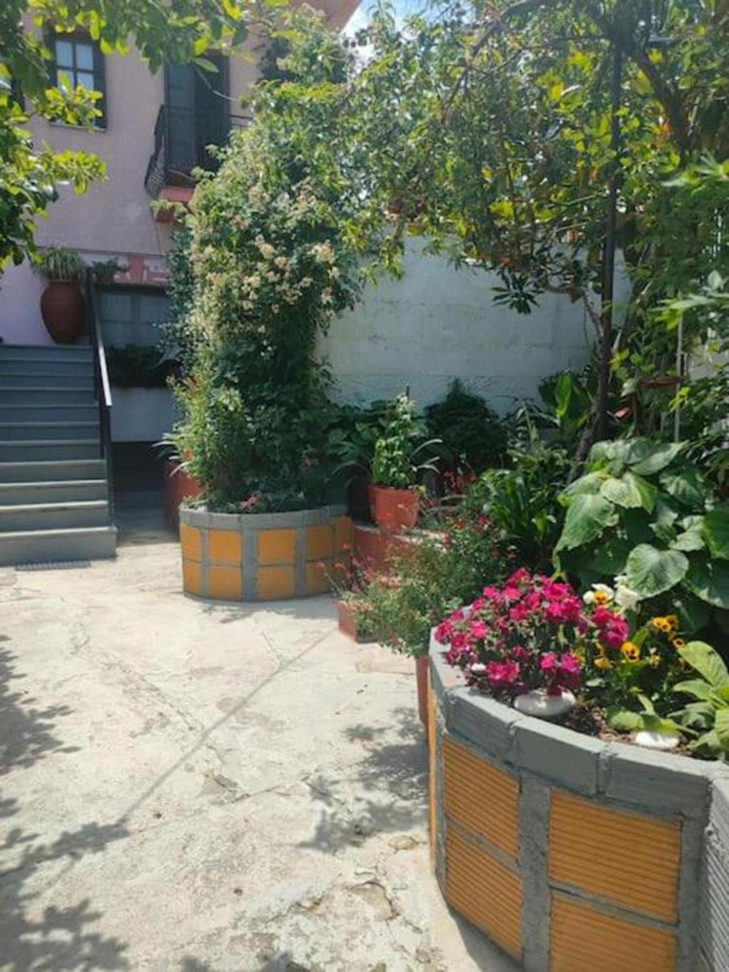 Makrirrákhi Hara'S House Pelion 아파트 외부 사진